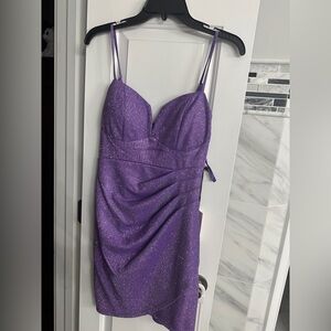 Elegant Purple Women's Dress